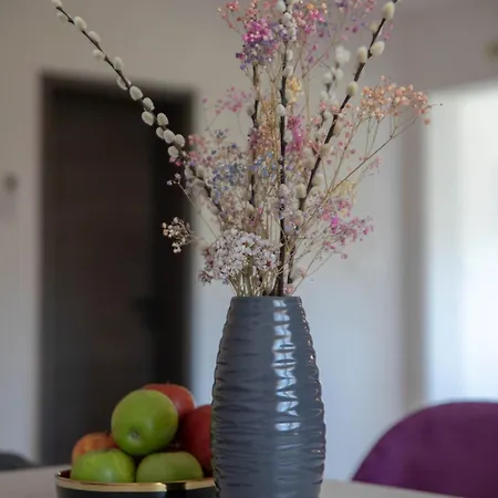 Apartman Petra Daire *